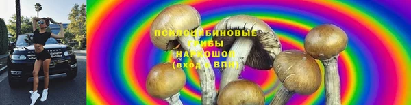 стафф Баксан