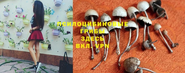 СК Балахна