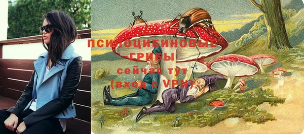 стафф Баксан