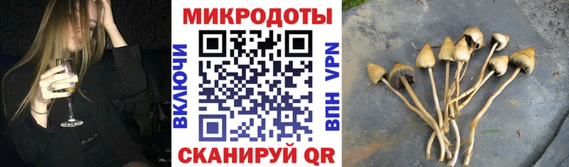 Псилоцибиновые грибы прущие грибы  Макаров 